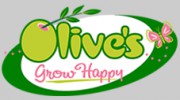 Olive Nursery
