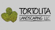 Tortolita Landscaping