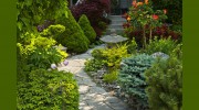 Walnut Creek Landscaping