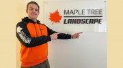Maple Tree Landscape