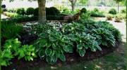 Land Decor