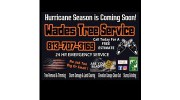 Plant City Tree Services