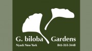 G Biloba Garden Environment