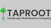 Taproot Landscape