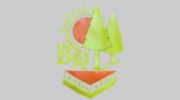 David Brill Landscape Service