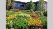 Mariposa Gardening & Design