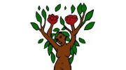 Diva Garden & Landscaping