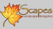 Scapes