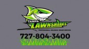 Tampa Lawn Sharks