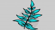 Blue Fern Landscaping
