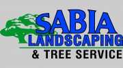 Sabia Landscaping & Tree Service