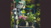 Dutch Valley Landscape Contractors
