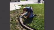 Haugen's Landscaping
