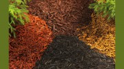 DF Landscapes