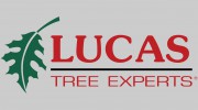 Lucas Tree Experts