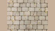Ponce Landscaping & Construction