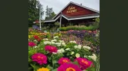 Eden Farms