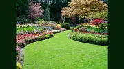 Curtis Landscaping & Tree Service