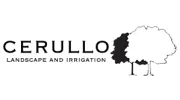 Cerullo Landscape