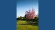 AF Landscaping