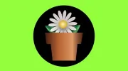 Potted Luck