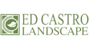 Ed Castro Landscape