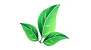 Shades of Green Lawn & Landscaping