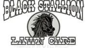 Black Stallion Lawn Care