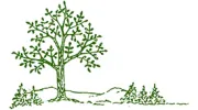 Our Town Landscaping