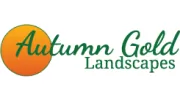 Autumn Gold Landscapes
