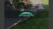 Lupe's Landscaping & Excavation