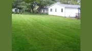 Blue Ribbon Lawn & Landscaping