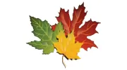 Sterling Landscape Services