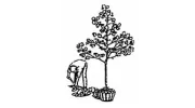 Irish Landscape Designs