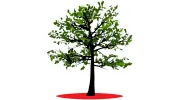 CAL Landscaping