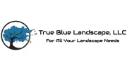 True Blue Landscape