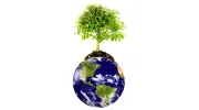 Down To Earth Landscaping & Maintenance