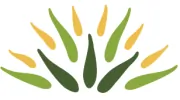 City Plants