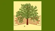 New Vista Enterprises