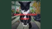 Gordon's Garden Center