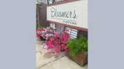 Bloomers at Midtown