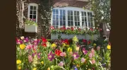 Tilting Windmill Landscape Design