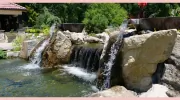 Garden State Koi Pond & Waterfall Design Center