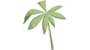 Dan Ramos Landscaping