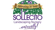 Sollecito Landscaping Nursery