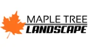 Maple Tree Landscape