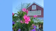 Sisson Landscapes