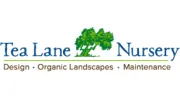 Tea Lane Nursery