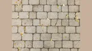 Ponce Landscaping