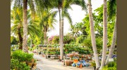 Living Color Garden Center